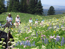 USA-Idaho-Grand Tetons Backcountry Rides